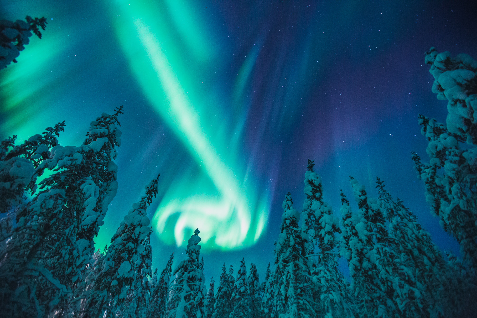 Aurores boréales Kakslauttanen