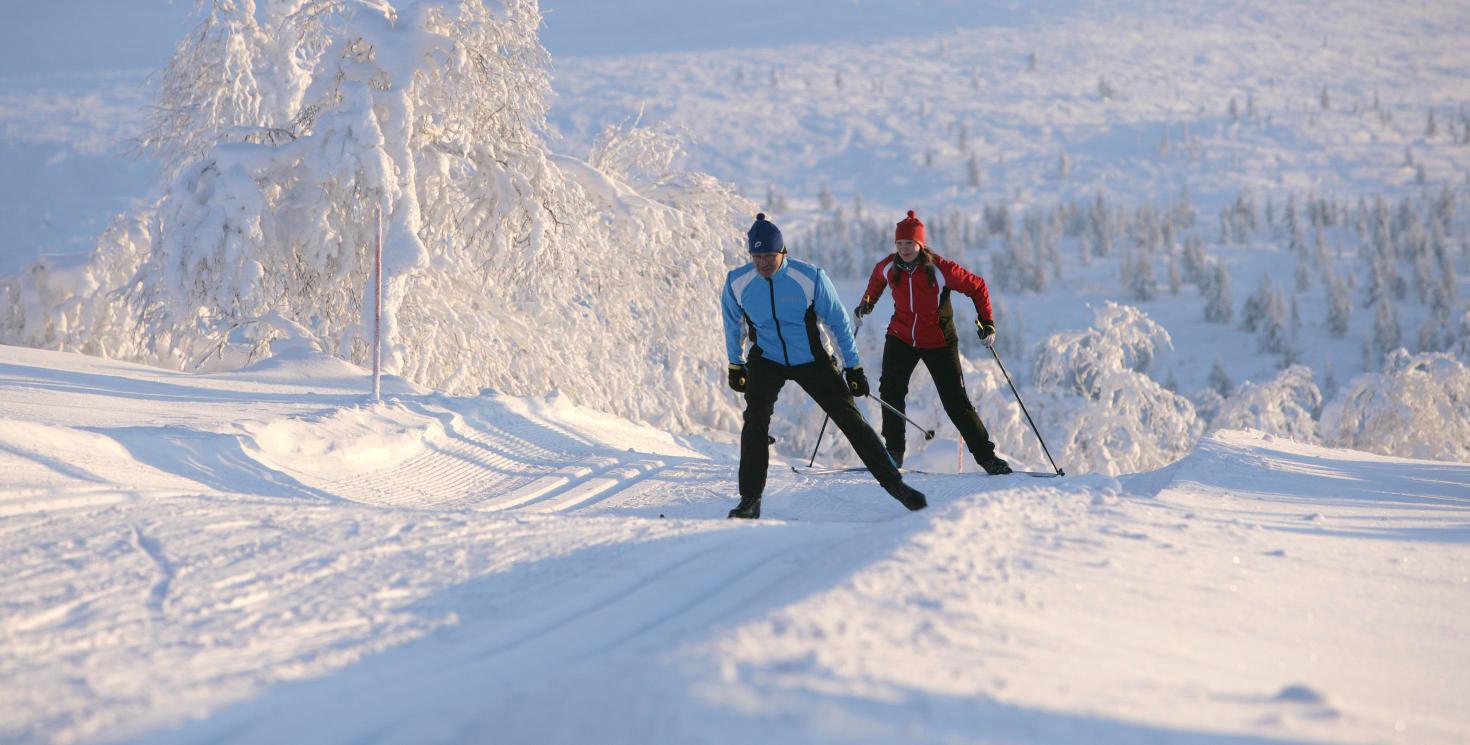 Ski nordique avec moniteur