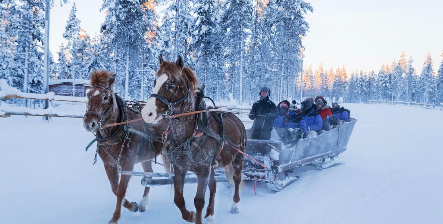 Balade en traîneau à cheval
